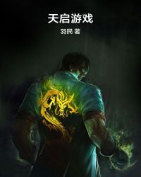 天启游戏小说封面