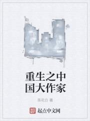 重生之中国大作家小说封面